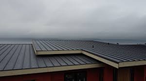 Best Sheet Metal Roofing  in Sanger, TX